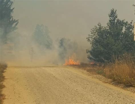 Şili’de orman yangınları: OHAL ilan edildi, 19 kişi öldü